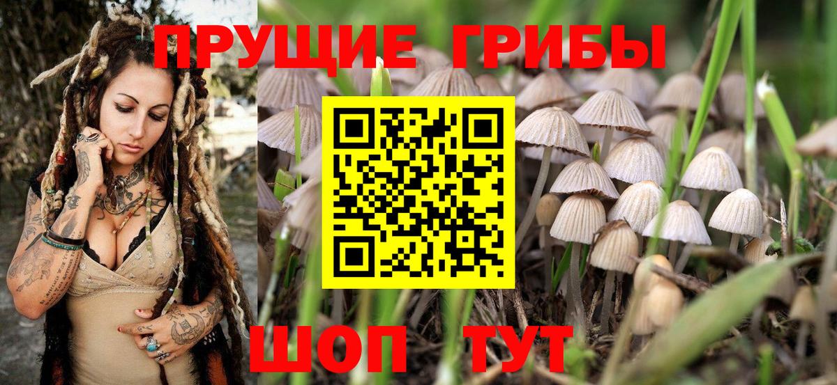 Галлюциногенные грибы мухоморы  Вход с VPN  Киреевск 